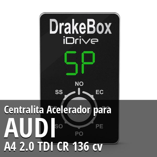 Centralita Audi A4 2.0 TDI CR 136 cv Acelerador