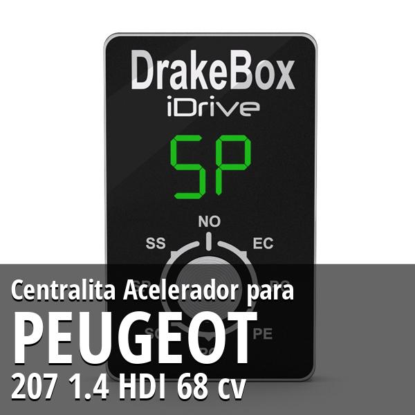 Centralita Peugeot 207 1.4 HDI 68 cv Acelerador
