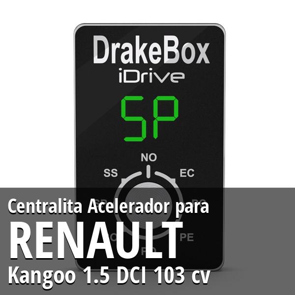 Centralita Renault Kangoo 1.5 DCI 103 cv Acelerador