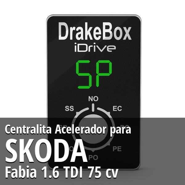 Centralita Skoda Fabia 1.6 TDI 75 cv Acelerador